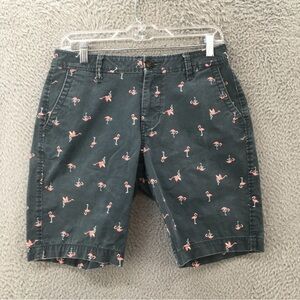 Aeropostale Gray Flamingo Print Men Shorts